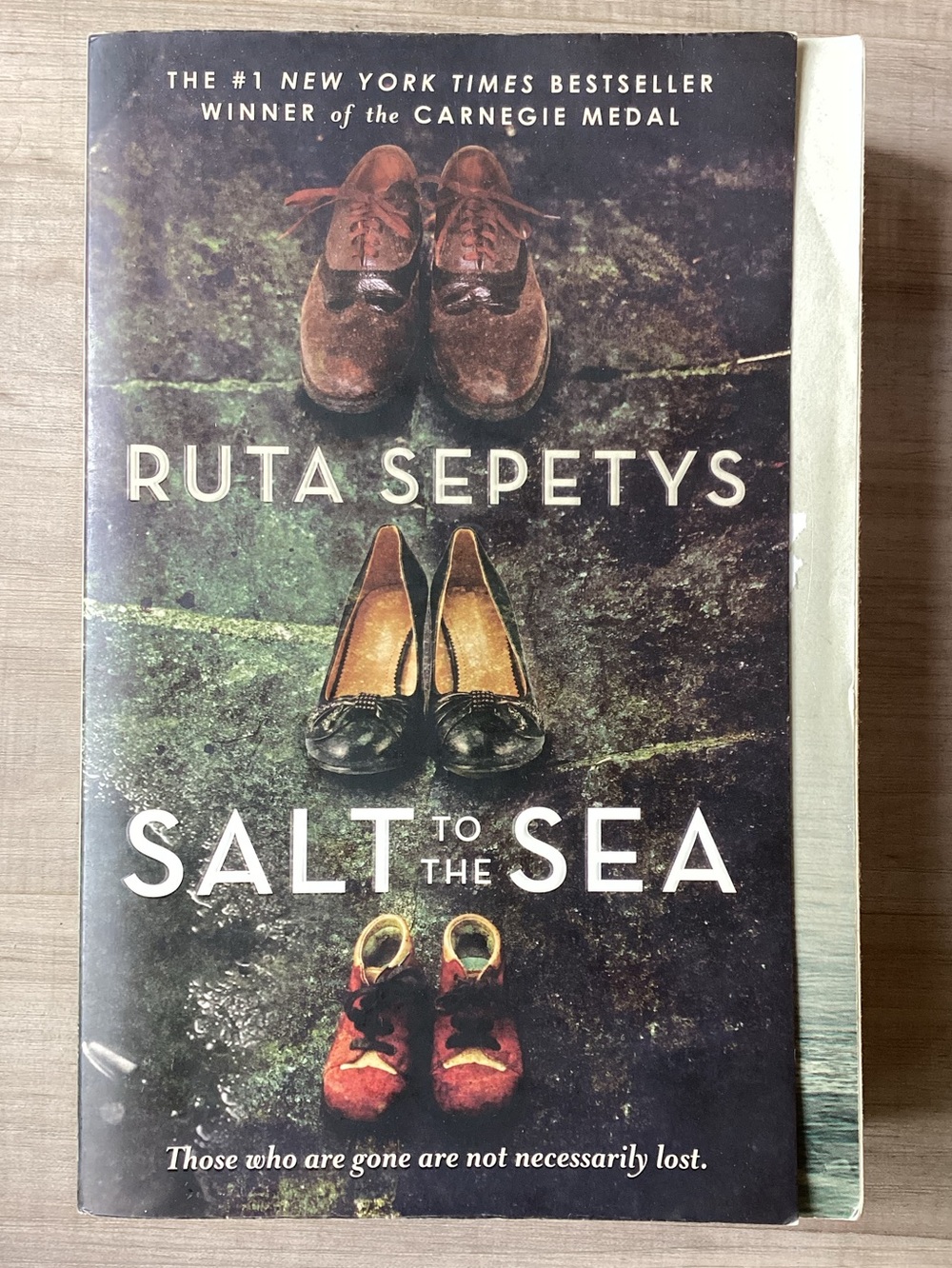 2/$15 Salt to the Sea by Ruta Sepetys Historical Fiction Book